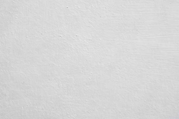 Best Basement Mold Removal  in Mino, CA